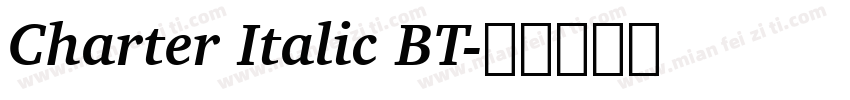 Charter Italic BT字体转换